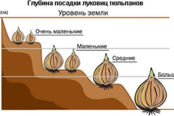 Кракен купить наркоту