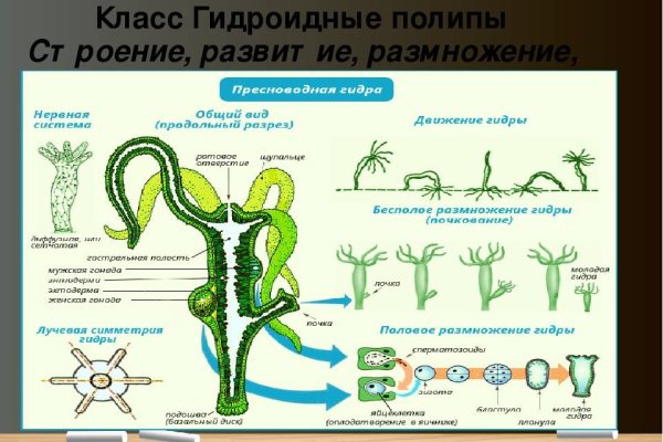Как зайти в кракен через айфон