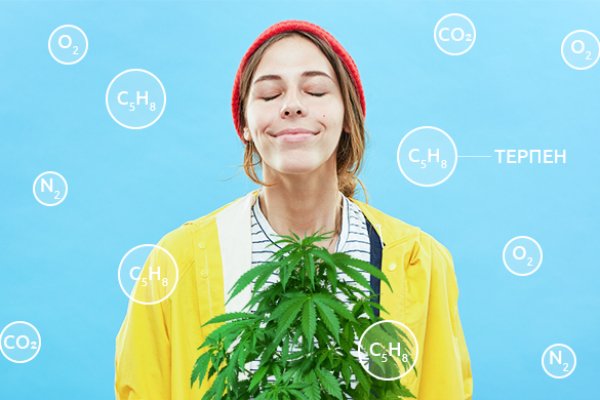 Кракен маркетплейс kr2web in