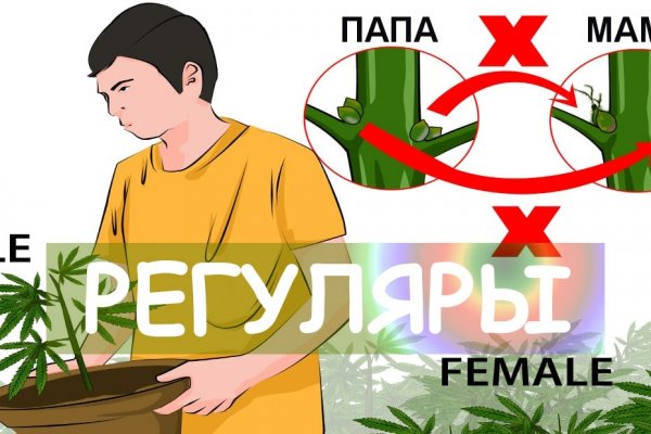 Кракен маркет что это такое