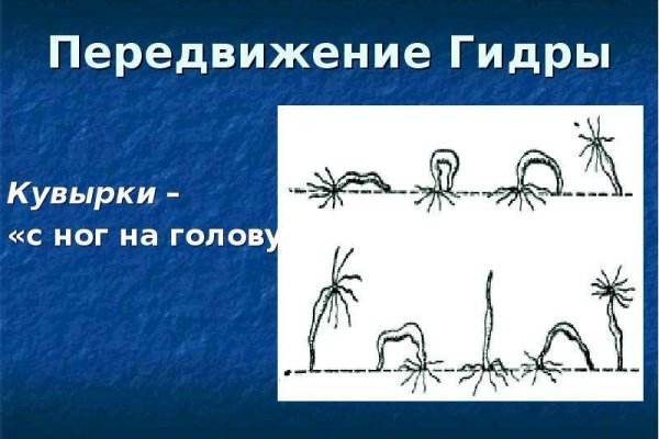 Как зайти на площадку кракен