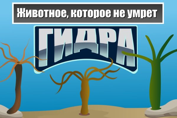 Кракен 20 at
