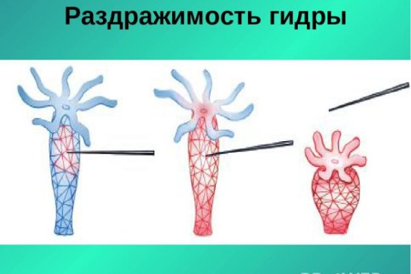 Актуальное зеркало на кракен